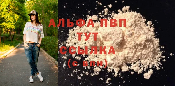 spice Горняк