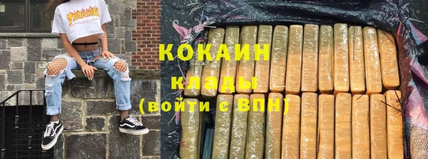 spice Горняк
