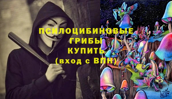 спайс Горнозаводск