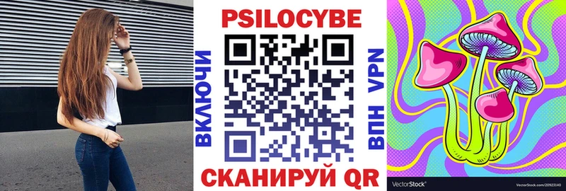 купить   Элиста  МЕГА ссылка  Галлюциногенные грибы Psilocybe 